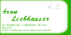 aron liebhauser business card